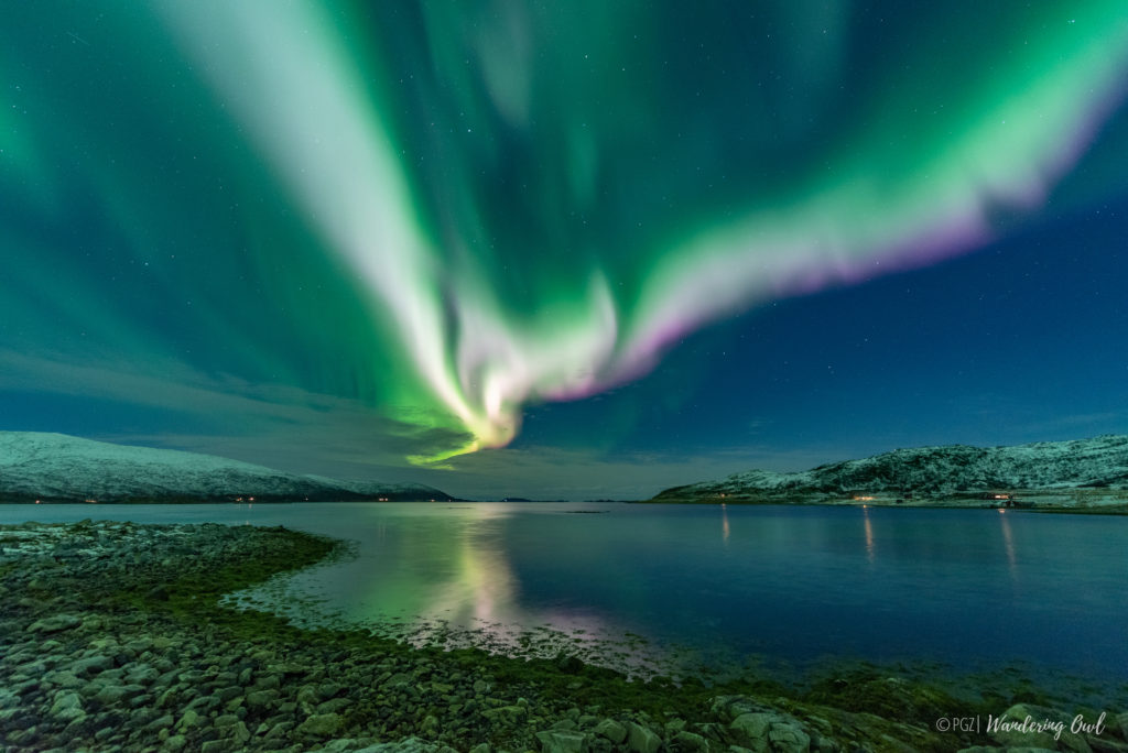 where to see the northern lights