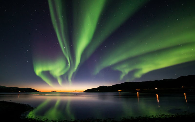 Northern Lights - Learn about Aurora Wandering Owl