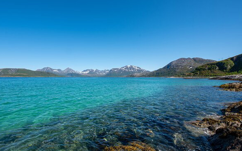 Kayak On The Wild Side In Senja