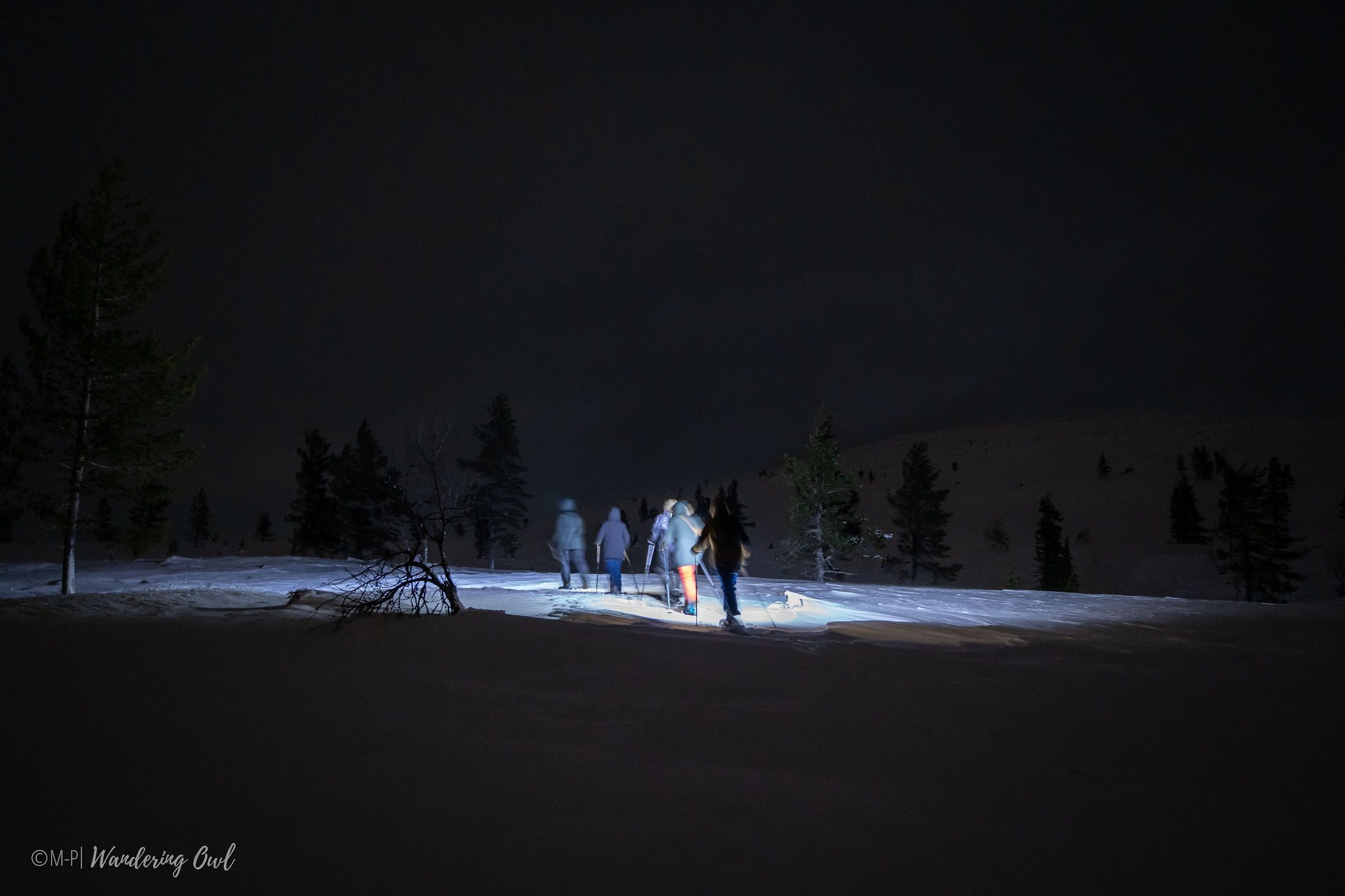 Wandering-Owl_2025-12-27_Aurora-Hunt-Snowshoes_M-P-1