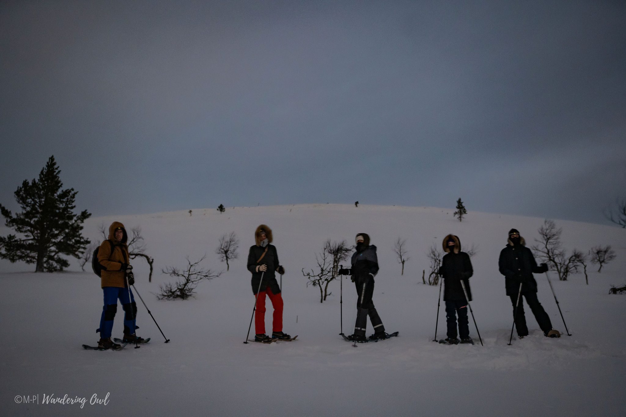 Wandering-Owl_2025-12-27_Aurora-Hunt-Snowshoes_M-P-4