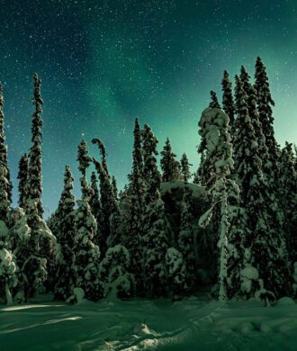 Aurora Walk on Snowshoes in the Finnish Wilderness