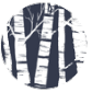 Wild Lab Founder