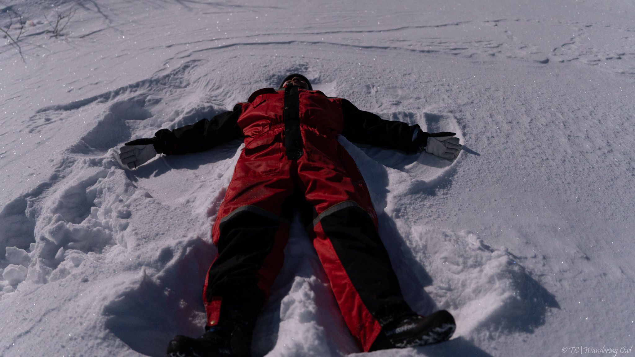 AH_25_01_09_TC-33 Aurora Hunt with Citizen Science