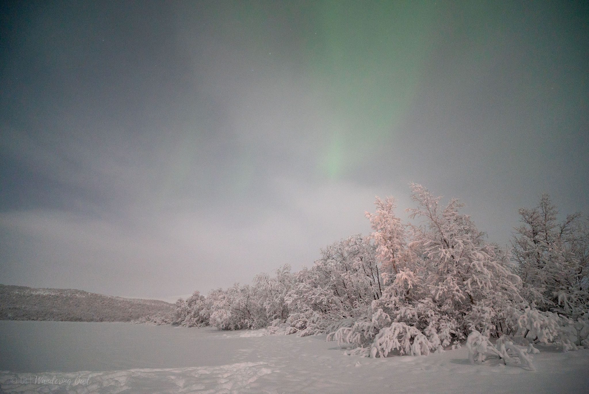 AuroraHunt_10-01-2025_Lucas-31 Aurora Hunt