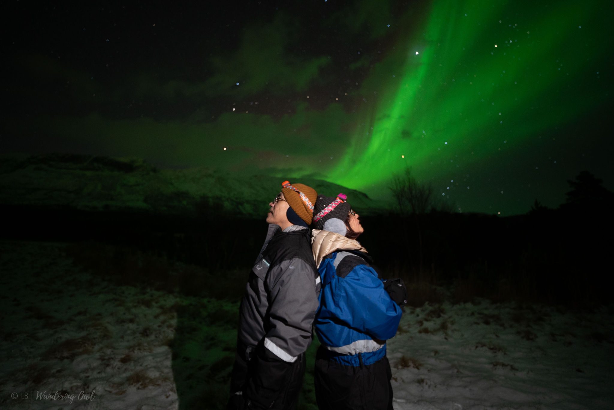 Aurora_Hunt_2024-10-31_Lucas-27 Aurora Hunt with Citizen Science