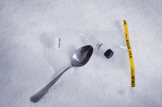 Blog-image-size-wlp Aurora Hunt with Citizen Science
