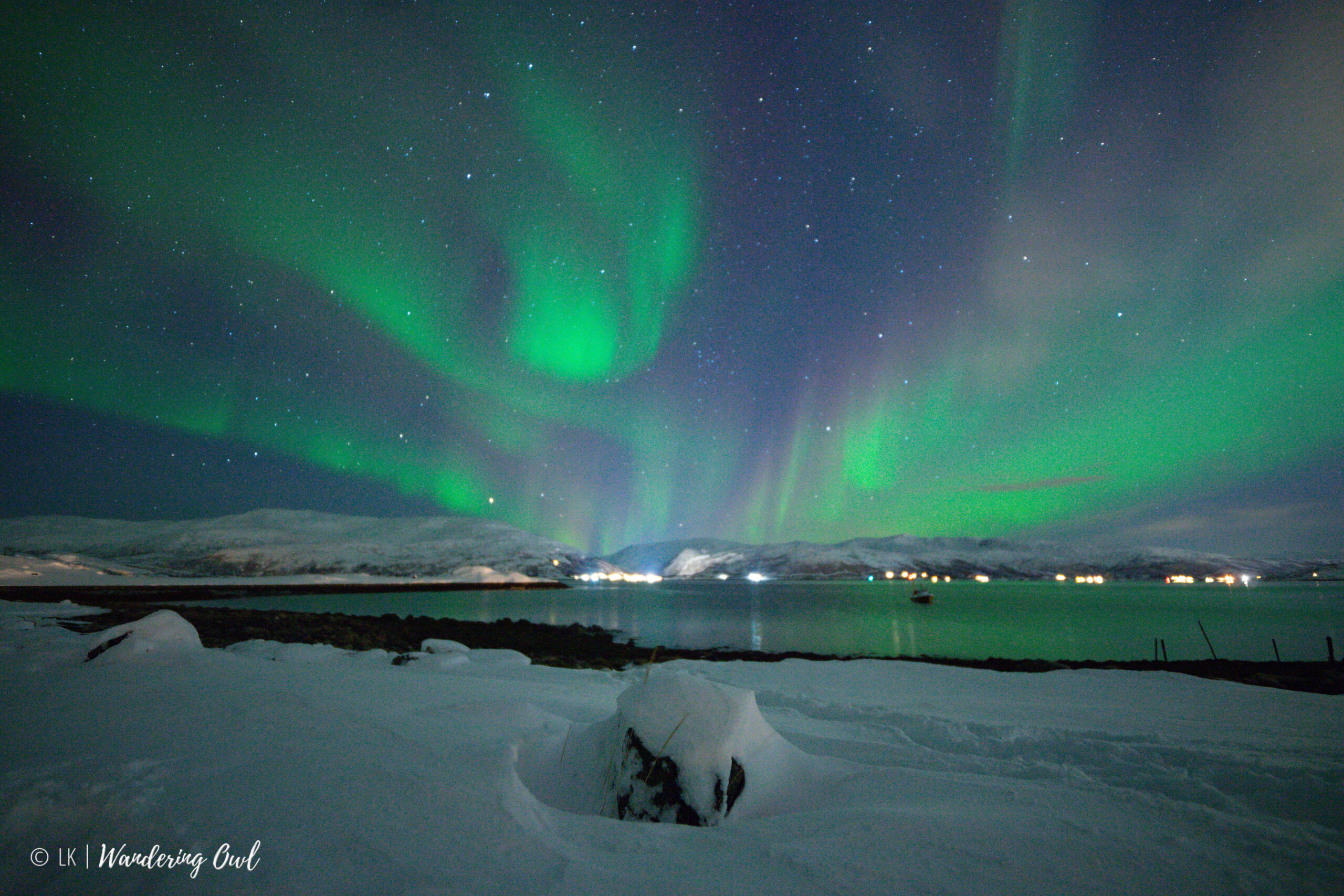 _DSC0456 Aurora Hunt