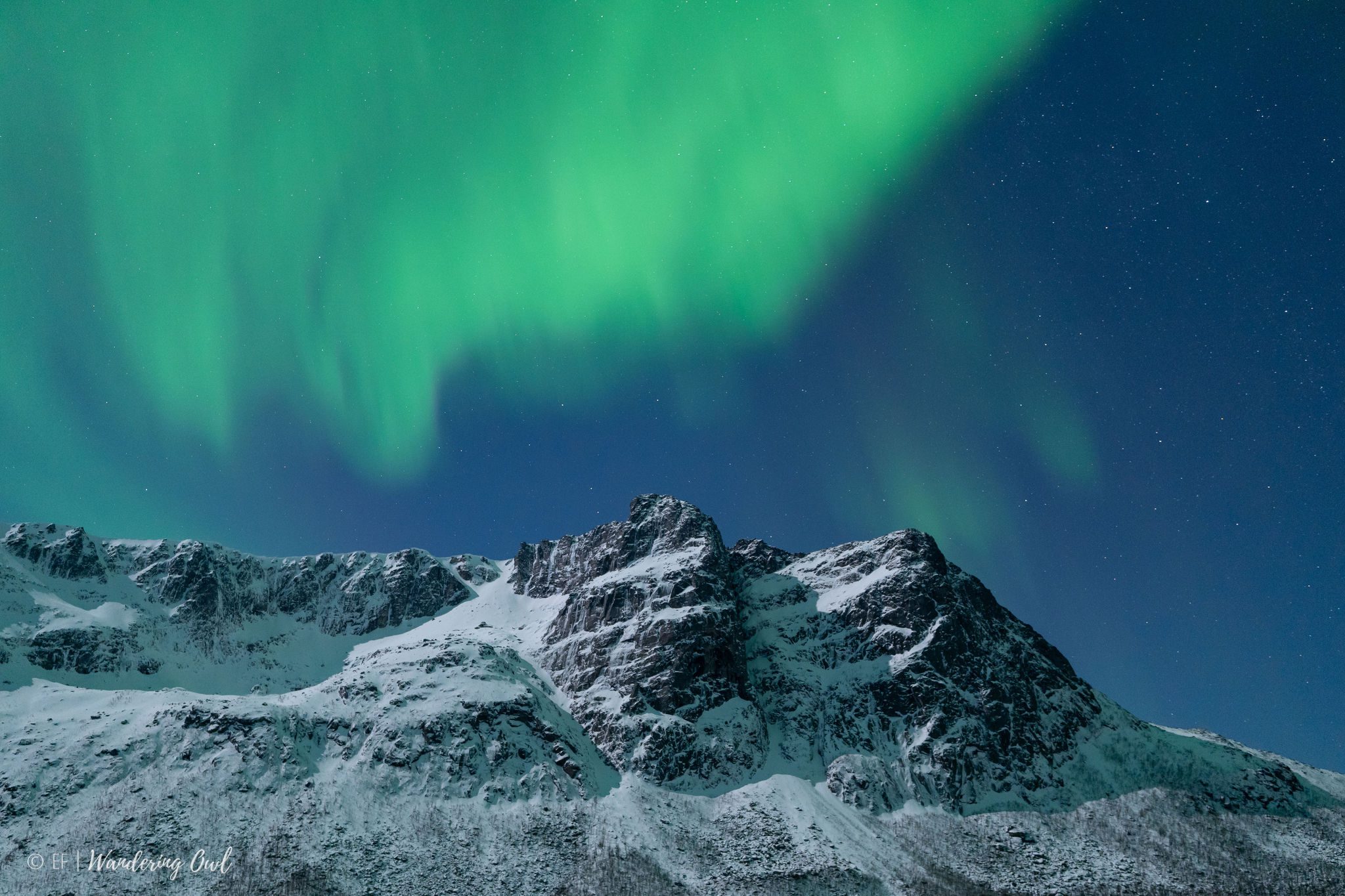 WanderingOwl_AH_09-01-2025_ERIKA-19 Aurora Hunt