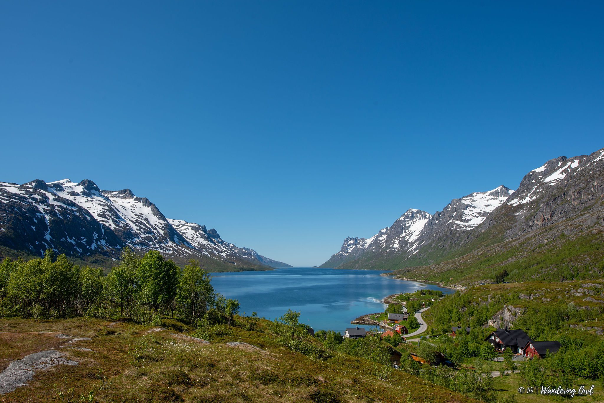 Summer Day Hike in the Wilderness