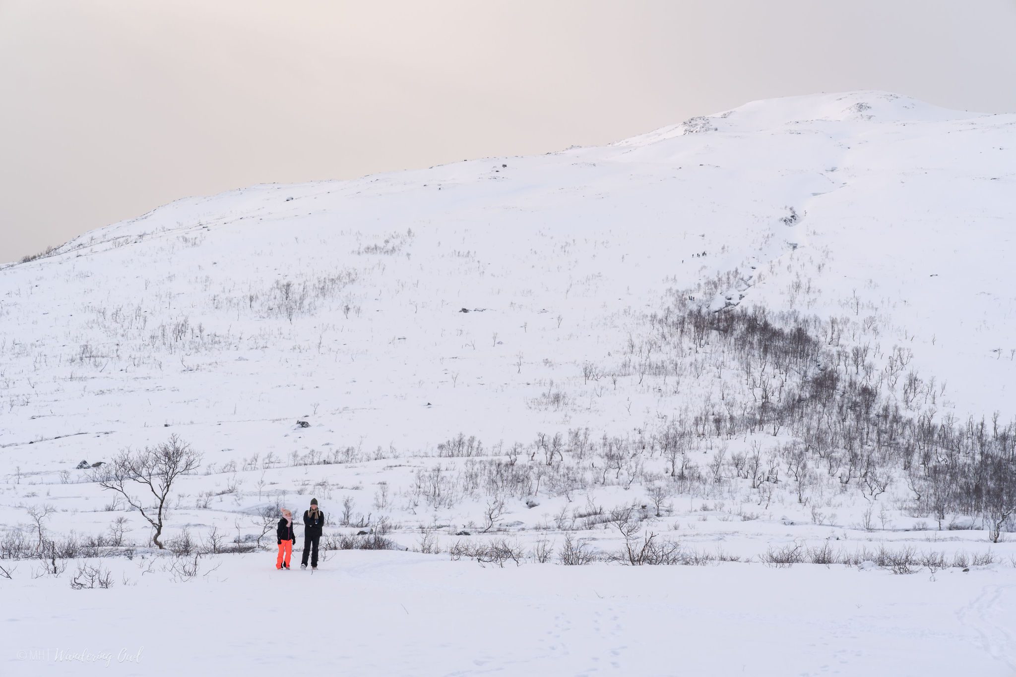 Winter Snowshoeing in the Wilderness