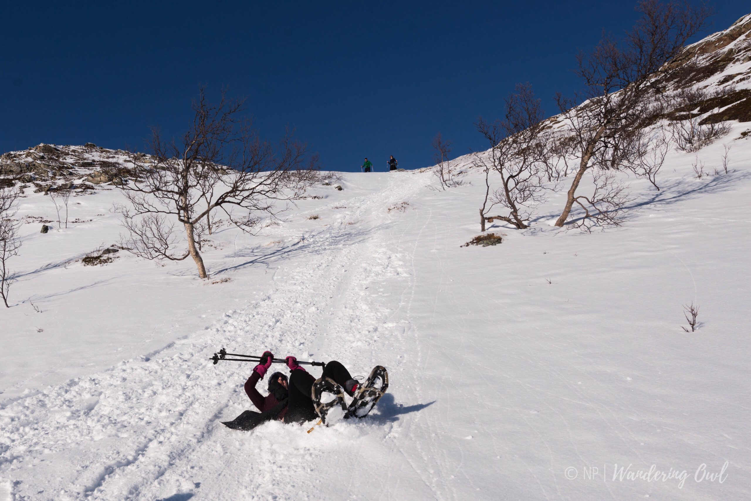 Winter Snowshoeing in the Wilderness