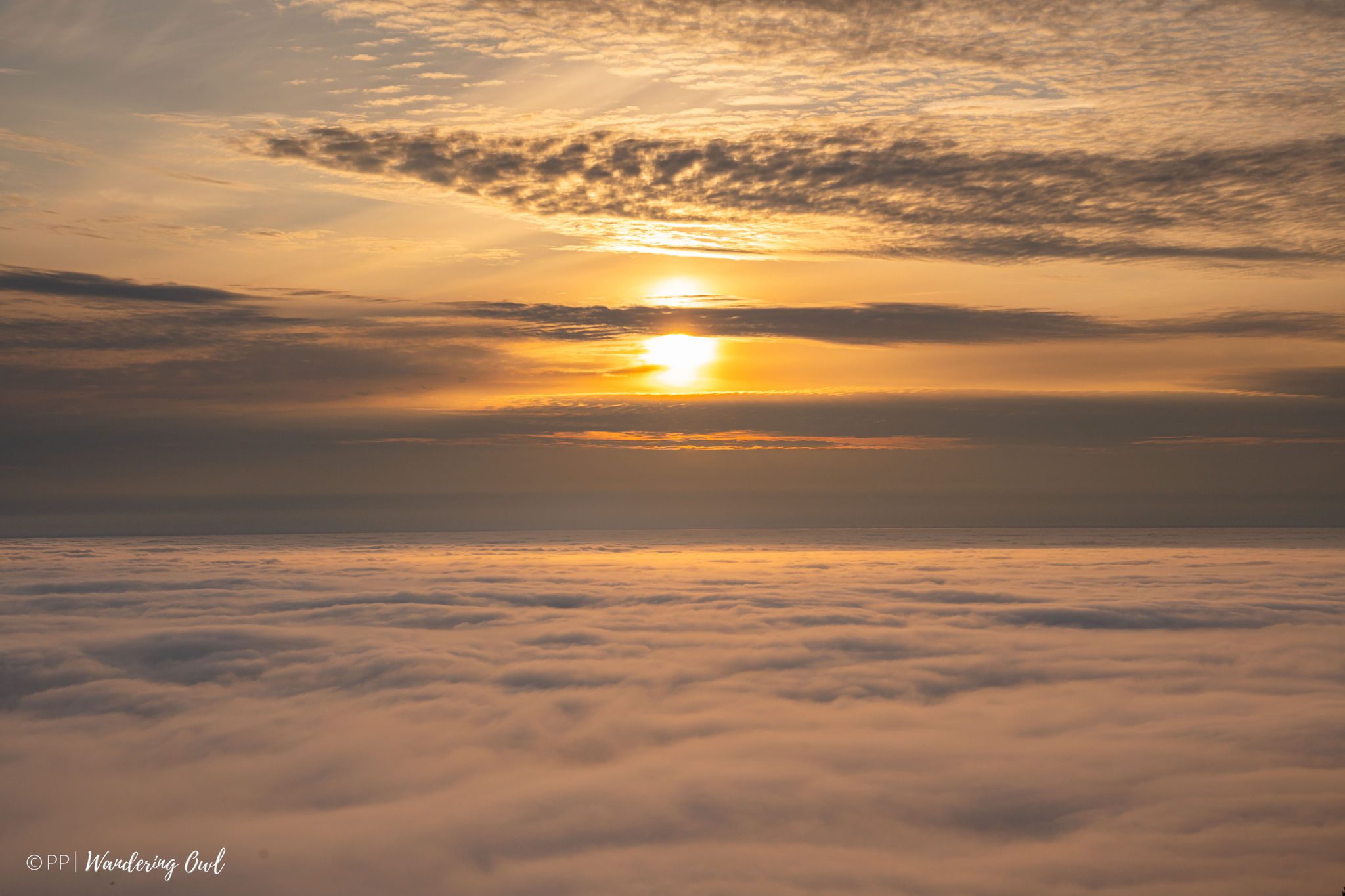 Sun Hike in the Wilderness