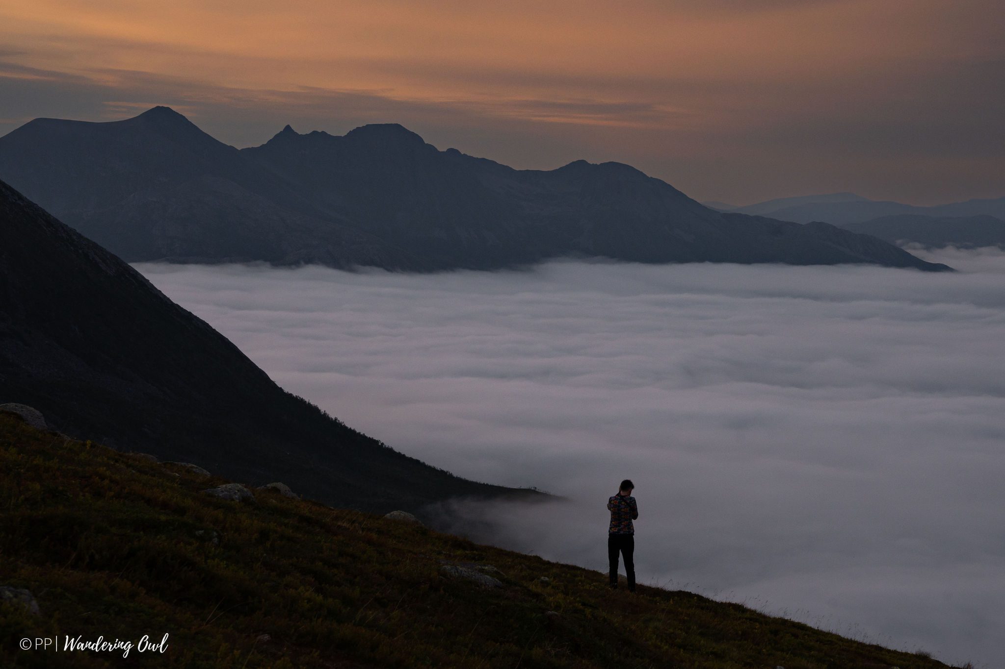 Sun Hike in the Wilderness