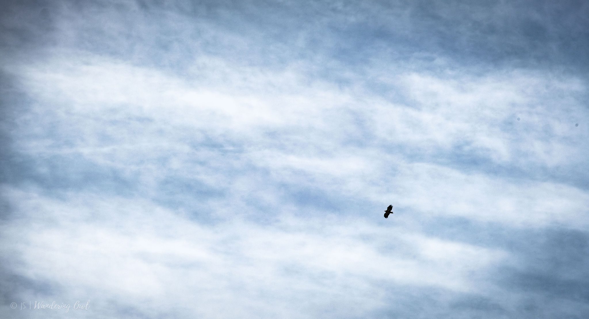 Winter Snowshoeing in the Wilderness
