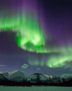 Adults Only Aurora Hunt with Citizen Science