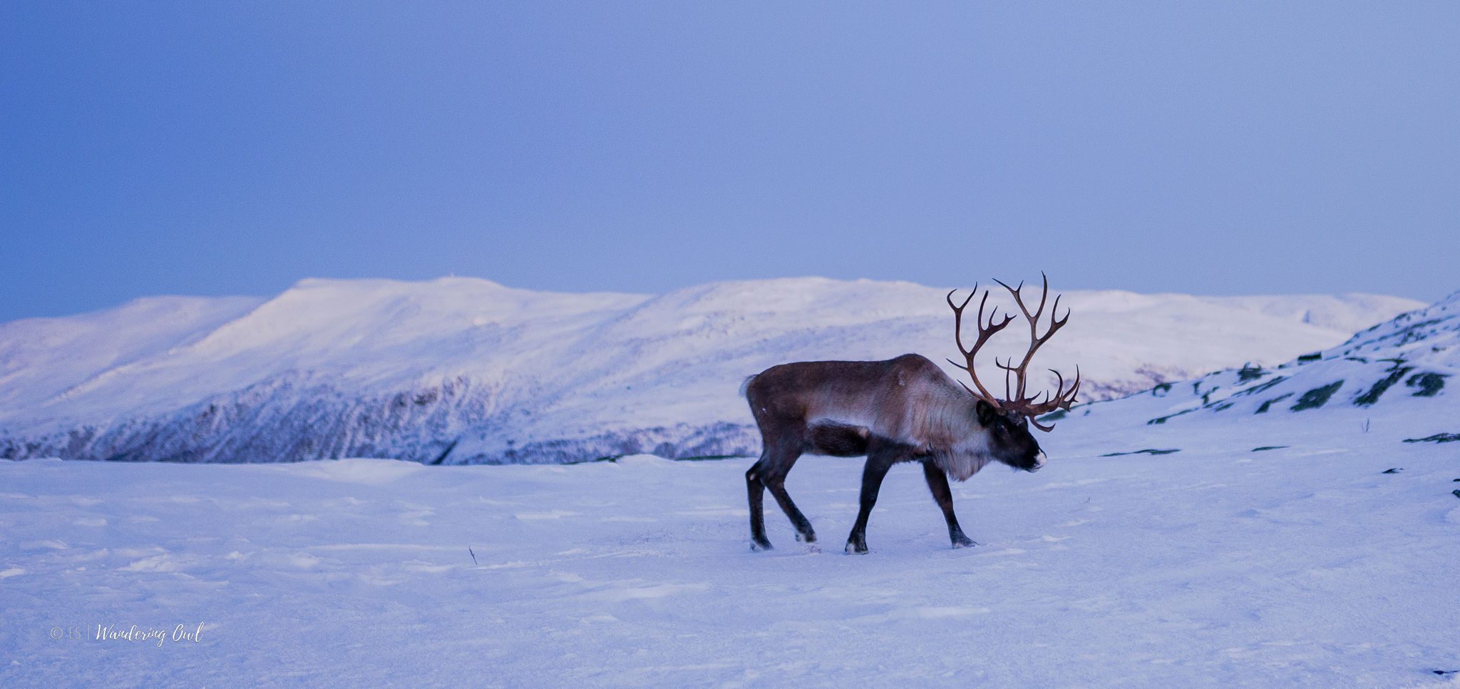 Winter Snowshoeing in the Wilderness