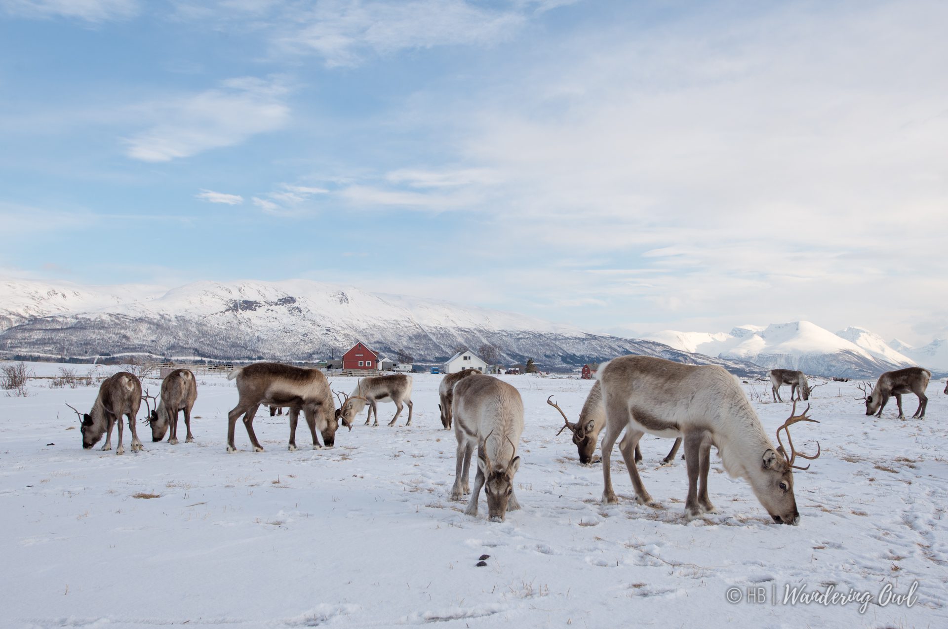 winter-arctic-landscape-58 winter-arctic-landscape