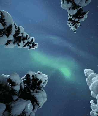 Adults Only Aurora Hunt with Snowshoeing in the wilderness