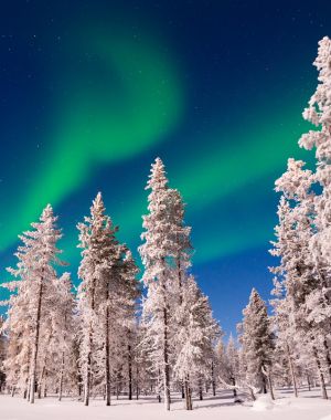 Adults Only Aurora Hunt in the Finnish wilderness