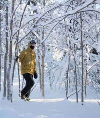 Levi ↔ Rovaniemi Snowshoeing Transfer Experience