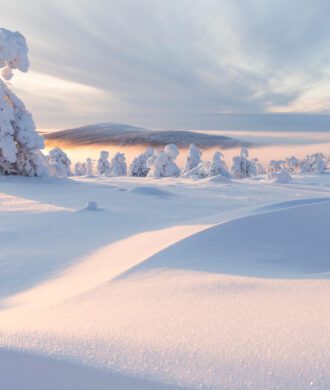Winter Snowshoeing in the Finnish Wilderness