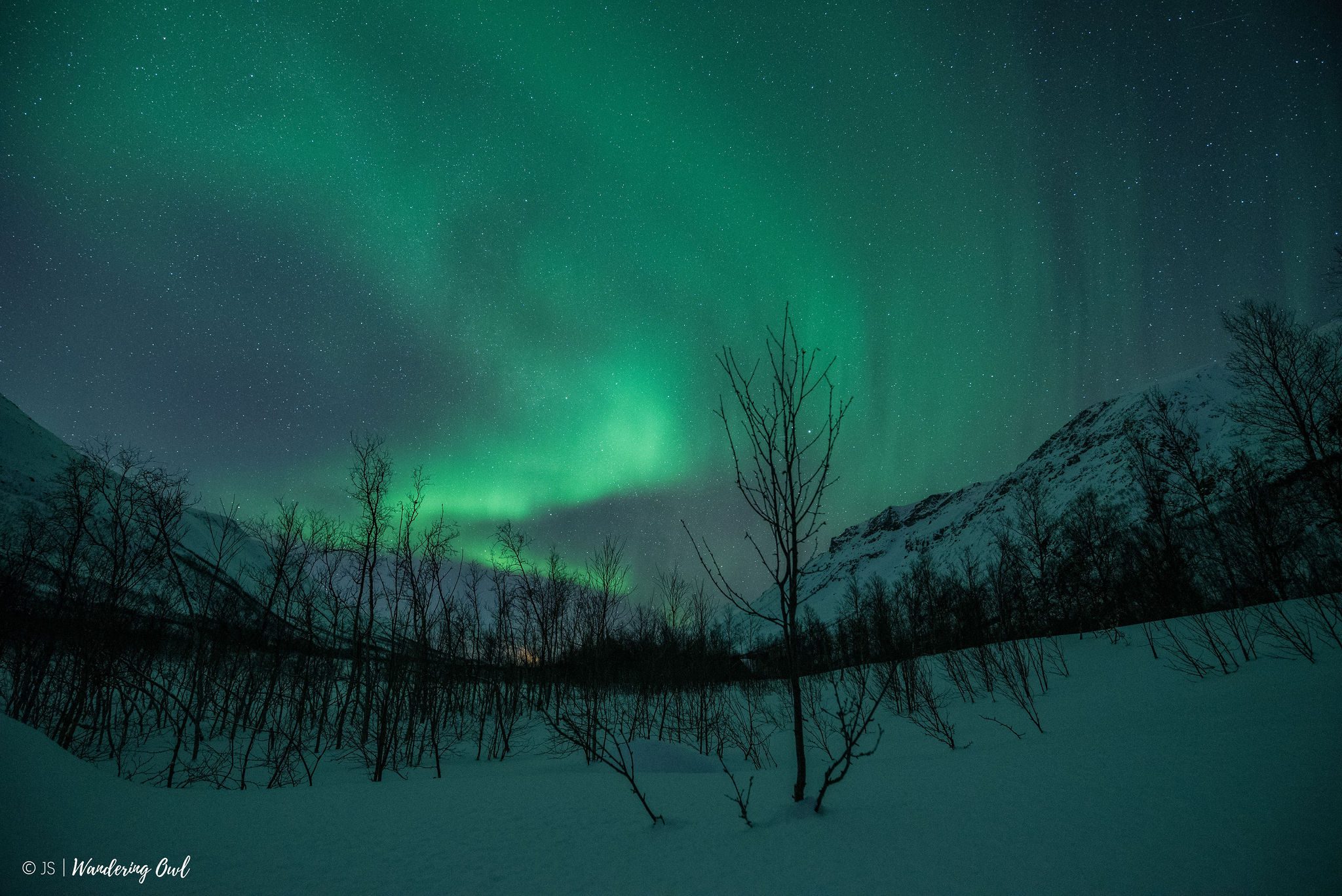 JosephineSchulze-_-12