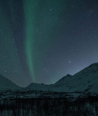 Star Walk in the Wilderness