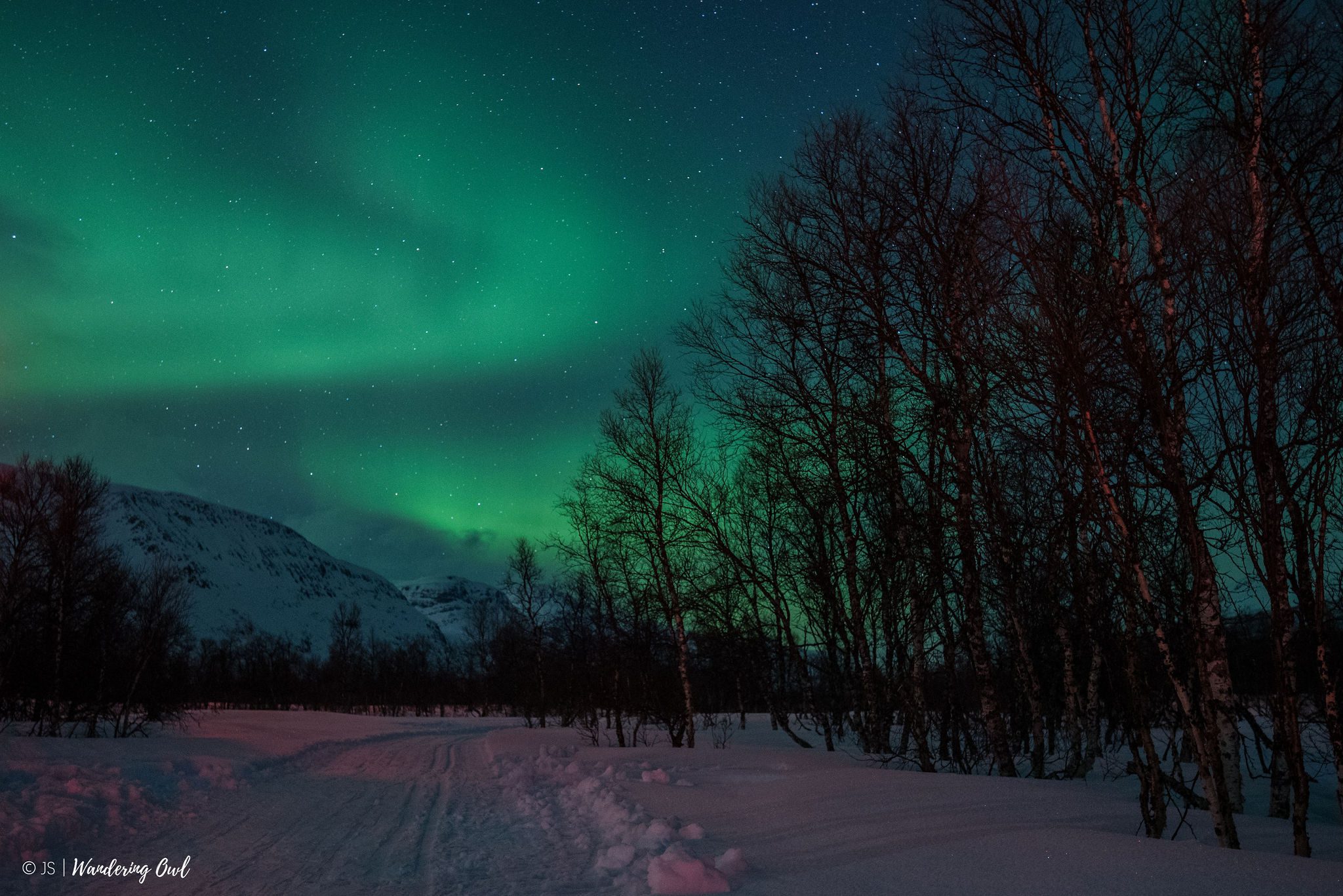 JosephineSchulze-_-4